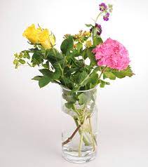 Norwich crown court heard how ward put bleach in a single jar of baby food in a jiffy bag in the vegetable section of morrisons store in king's lynn, norfolk. Keep Flowers Fresh By Treating Them To Vodka Bleach Lemonade Or Aspirin Daily Mail Online