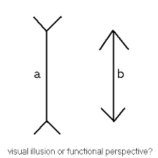 We did not find results for: The Muller Lyer Optical Illusion The Muller Lyer Illusion Flickr