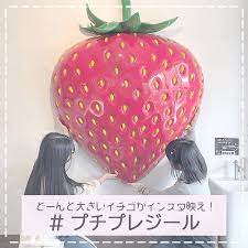 岡山 問屋町のイチゴが可愛い petit piaisir プチプレジール に注目 どーんと大きいイチゴはインスタ映え間違いなし お店で食べれるイチゴスイーツはどれもころっと可愛くて乙女心をくすぐります 住所 岡山県岡山市北区問屋町12 101 arow dep