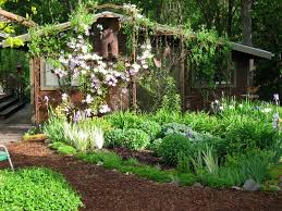 Pin By Kathy Yearwood On Starter Gardens Plans Garden Trellis Designs Garden Arch Trellis Metal Garden Trellis