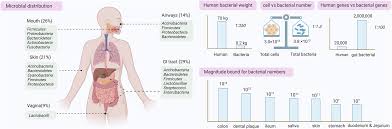 A systematic framework for understanding the microbiome in human health and  disease: from basic principles to clinical translation | Signal  Transduction and Targeted Therapy