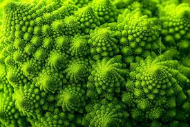 Romanesco Broccoli Fractals In Nature Geometry In Nature Patterns In Nature