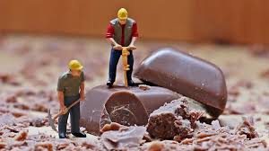 Nyc Chocolate Show Salon Du Chocolat Ny 2021 Tickets Dates Venues Carnifest Com