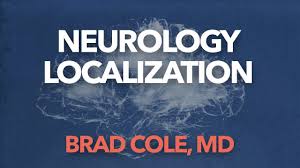 Image result for Neurologic Lesion Localization