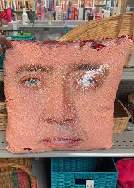 Pillow found in store for travel enthusiasts