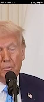 Saw this while disc golfing. What is it? 📷LeeAmazon