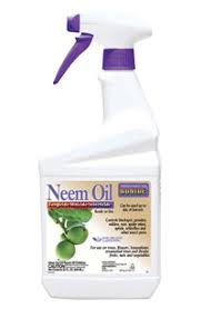 Bonide Neem Oil Spray Rtu Kings County Nursery Inc