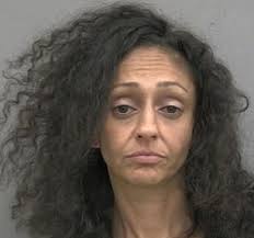 More than a dozen squatters are arrested for living in a Florida motel that  was being turned into a homeless shelter