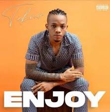 Tekno Enjoy Mp3 Download Enjoyment Songs Latest Music