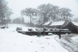 O morro das torres (1.750 m) é um dos pontos mais procurados por quem quer ver neve. Neve Em Caxias Do Sul 27 De Agosto 2013 Lugares Lindos No Brasil Cidades Do Brasil Imagens Inspiradoras