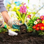 Gardening Discussion Group