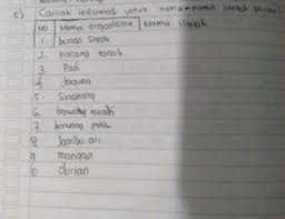 Jenis bunga sepatu adalah bunga yang indah. Nama Organisme 1 Bunga Sepatu2 Kacang Tanah3 Padi4 Jagung5 Singkong6 Bawang Merah7 Bawang Brainly Co Id