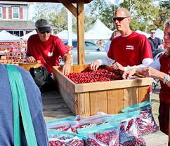 Cranberry Season In New Jersey Best Of Nj