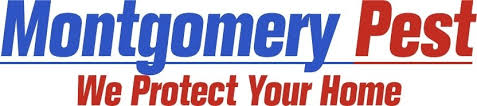 Ellicott city animal removal and wildlife control experts can solve all types of nuisance wildlife problems including removing and trapping squirrels, birds nuisance wildlife operators specialize in the removal and control of wild nuisance pest animals from your ellicott city home or business. Top 10 Best Pest Exterminators In Hanover Md Angi