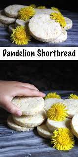 Dandelion Shortbread Cookies Recipe Dandelion Recipes Foraging Recipes Foraged Food