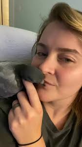 It’s Abraxos’ 1 year hatch day 🥹 I love this feisty pigeon so much. I do  miss the squeaky baby days!