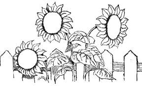 Remember that sharing is caring as long as it's links! Sun Flower Over The Fence Spring Flower Coloring Page Color Luna Flower Coloring Pages Coloring Pages Spring Flowers