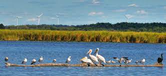 Delta dunarii este un colț de rai, o locație pe care turiștii români, dar și cei din afara granițelor țării vin să îi descopere frumusețile. Cazare In Zona Delta Dunarii 2021