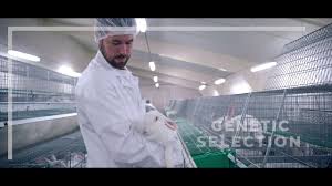 Grimaud freres selection à sevremoine (49450) rcs, siren, siret, bilans, statuts, chiffre d'affaires, dirigeants, cartographie, alertes, annonces légales, enquêtes, ape, naf. Hypharm Rabbit Subsidiary Of Groupe Grimaud Youtube