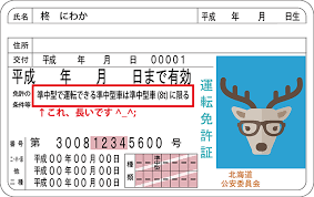 運転免許証 おしゃれまとめの人気アイデア pinterest 036 takitaki 運転免許証 運転免許 検索