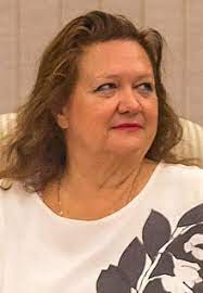 Johnson hükümetinin en tartışmalı isimlerinden biri olan hancock, bu kez çok daha farklı bir olayla. Gina Rinehart Wikipedia