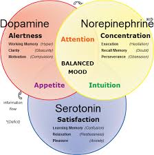 Thumbnail For Version As Of 23 20 4 October 2013 Psychology Nurse Neuropsychology