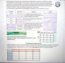 Found worksheet you are looking for? Solved 000 Amoeba Sisters Video Recap Dihybrid Crosses Chegg Com