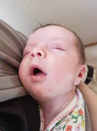 This is my trouble maker Nova!