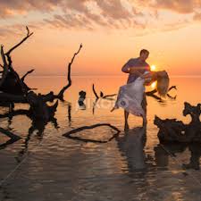 Mike Pedigo's Profile