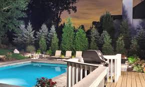 Maybe you would like to learn more about one of these? Privacy Screen Planting Design Tips From Wilson Bros Gardens