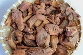 Image result for Rourea