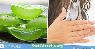 Lidah buaya ialah salah satu tumbuhan antara 250 spesies aloe serata dunia. 6 Kebaikan Lidah Buaya Untuk Kulit Dan Rambut Kecergasan 2021