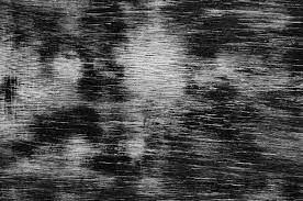 We did not find results for: Black And White Background Kostenloses Stock Bild Public Domain Pictures