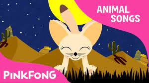 Fuh Fuh Fennec Fox | Fennec Fox | Animal Songs | Pinkfong Songs for  Children - YouTube