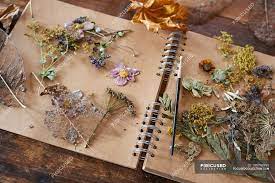 Use lavender leaves, stems and flowers in marinades and meat rubs, or toss whole lavender stems on the grill to infuse meat with a complex, herbal smoke flavor. Dried Flowers And Herbs On Notebook Nature Decorating Stock Photo 199743990