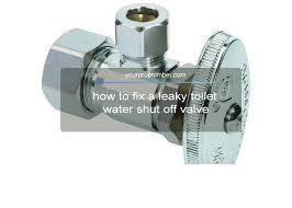 Water seeps through those cracks, resulting in a leaking shower head. How To Fix A Leaky Toilet Water Shut Off Valve Repair And Replacement