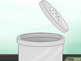 We let them loose on our back porch when they hatched because they would not eat the wingless fruit flies that we had for them. How To Take Care Of Lizard Eggs With Pictures Wikihow