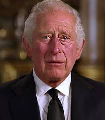 Finding community after a celebrity's passing