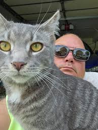 Lost dog in Kemper City Rd area