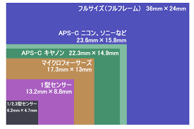 姫野ばら園八ヶ岳農場