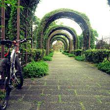 Secret Garden Found Secret Garden My Ride Riding