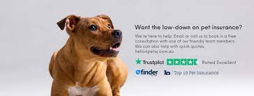 Find out what pet insurance is, how much it costs, and what's covered to decide whether you can save money with a policy. Petsy Home Facebook