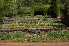 Terrace Garden Design Information On Building A Terrace Garden Terraced Landscaping Terrace Garden Design Terrace Garden