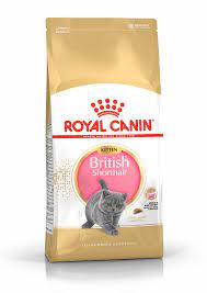 British shorthair kittens that are a joy the minute they get adjusted to your home. British Shorthair Kitten Dry Royal Canin