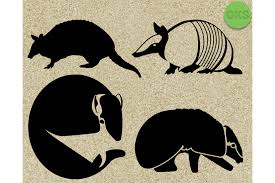 The free images are pixel perfect to fit your design and available in both png and vector. Armadillo For Cricut Graphic By Crafteroks Creative Fabrica