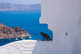 Santorini, officially thira and classic greek thera, is an island in the southern aegean sea, about 200 km southeast from the greek mainland. Insel Thirassia Das Kleine Gluck Der Stille Sheep Ouzo