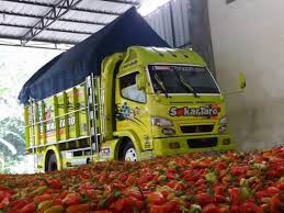 Â€œalsof ik nog aan h. 5 Fakta Unik Truk Cabai Yang Jarang Orang Tau Kaskus