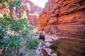 Image result for karijini