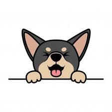 Black And Brown Corgi Cute Chihuahua Puppy Black And Brown Color Paws Up Wall In 2020 Cute Dog Cartoon Cartoon Dog Cartoon Dog Drawing