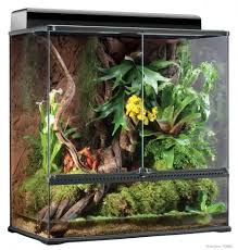 Exo Terra 36 X 18 X 36 Glass Terrarium For Sale Glass Terrarium Terrarium Tree Frog Terrarium